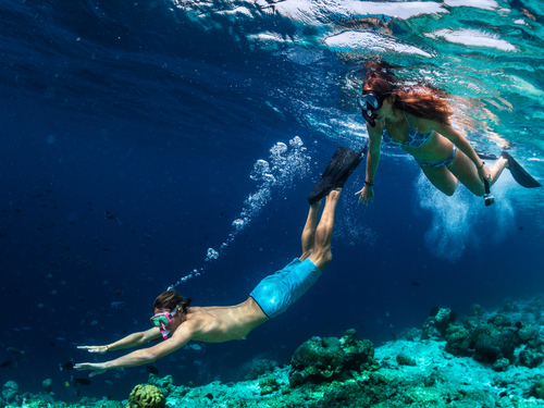 Cozumel Cozumel snorkeling Excursion Tickets