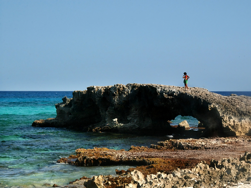 Cozumel  Cruise Excursion Cost