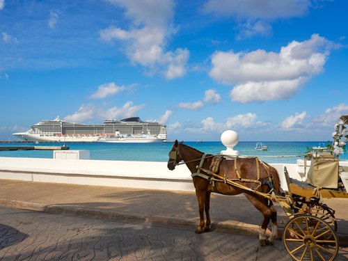 Cozumel Custom Private Jeep Sightseeing, Snorkel, and Beach Club Excursion with Lunch