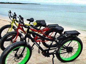 Cozumel Electric Bike East Side Road Ride Excursion