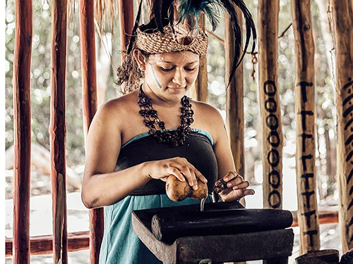 Cozumel Mexico Caracol Mayan Ruin Cultural Excursion Tickets