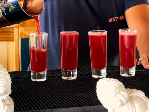 Cozumel First Distillery, Rum, and Gin Experience Excursion