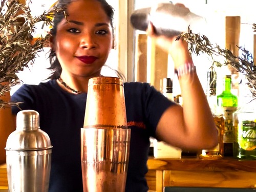 Cozumel First Distillery, Rum, and Gin Experience Excursion