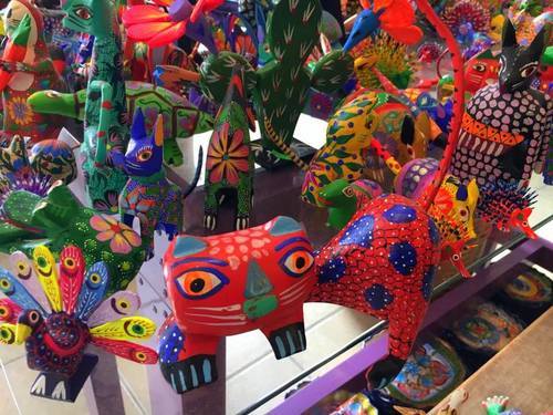 Cozumel foodie Shore Excursion Reviews