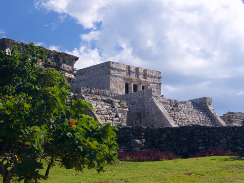 Cozumel Guided tour Trip Booking