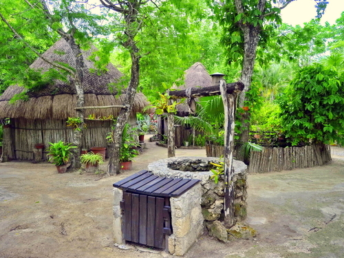 Cozumel SEATREK Chankanaab Cruise Excursion Cost