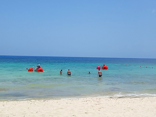 Cozumel Isla Mia Roots Beach Vibes with Optional Round-Trip Transportation