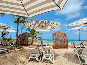 Cozumel Isla Mia Roots Beach Vibes with Optional Round-Trip Transportation