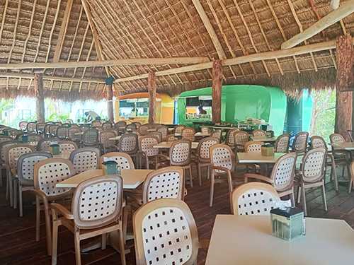 Cozumel Isla Mia Roots Beach Vibes with Optional Round-Trip Transportation