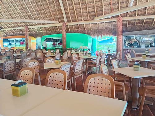 Cozumel Isla Mia Roots Beach Vibes with Optional Round-Trip Transportation