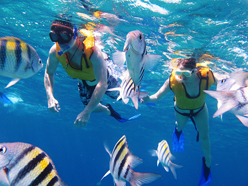 Cozumel Island Beach and Snorkel Day Pass Cruise Excursion Cost