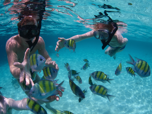 Cozumel Island El Cid La Ceiba Resort Trip Reviews Booking