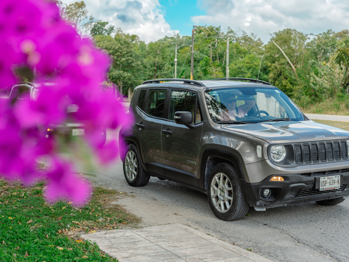 Cozumel Jeep Off-Road Adventure and All-Inclusive Passion Island Excursion 