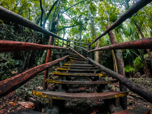 Cozumel Jungle Cruise Excursion Reservations