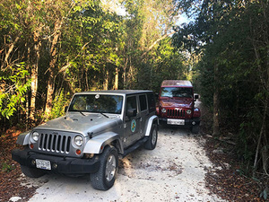 Cozumel Jungle Jeep, Jade Cavern, Cenote Swim and Snorkel Adventure Excursion