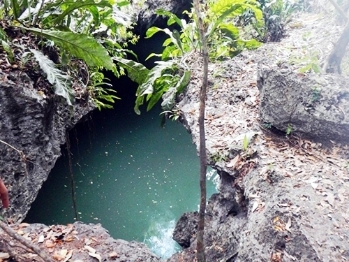 Cozumel Jungle Tour Reviews