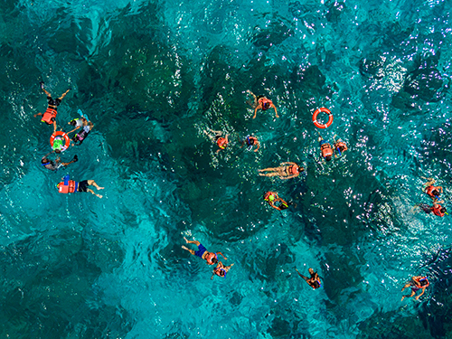 Cozumel Kuza Park Day Pass & Snorkeling at El Cielo, Palancar, and Columbia Reefs