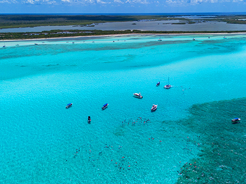 Cozumel Kuza Park Day Pass & Snorkeling at El Cielo, Palancar, and Columbia Reefs