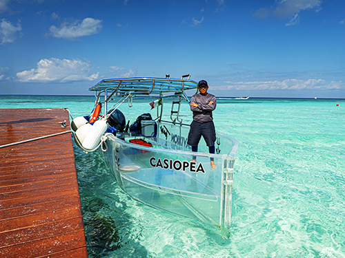 Cozumel Kuza Park Day Pass & Snorkeling at El Cielo, Palancar, and Columbia Reefs