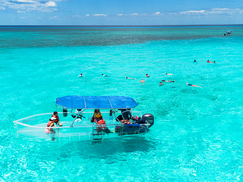 Cozumel Kuza Park Day Pass & Snorkeling at El Cielo, Palancar, and Columbia Reefs