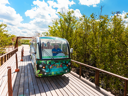 Cozumel Kuza Park Day Pass & Snorkeling at El Cielo, Palancar, and Columbia Reefs