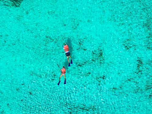 Cozumel Kuza Park Day Pass & Snorkeling at El Cielo, Palancar, and Columbia Reefs