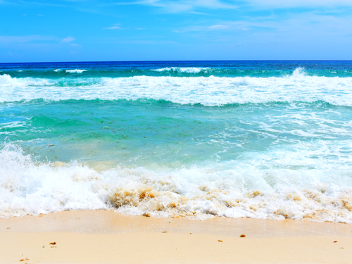 Cozumel lunch Shore Excursion Booking