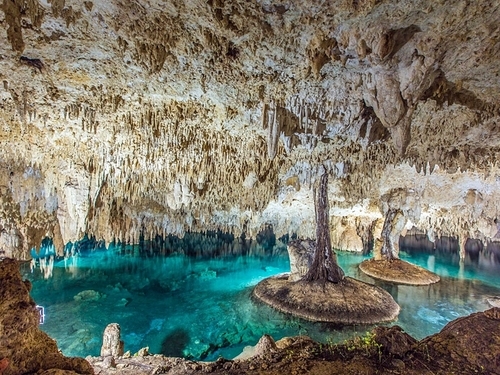 Cozumel Mayan Cave Shore Excursion Cost