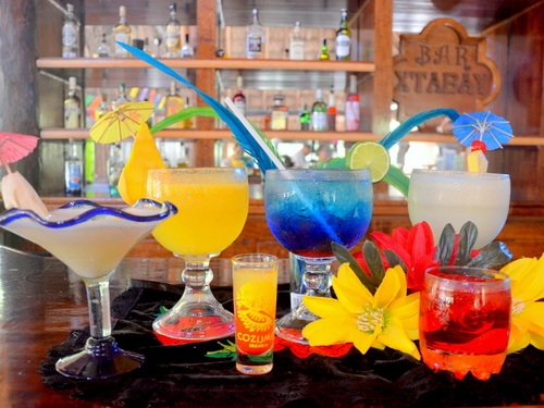 Cozumel Mayan Culture Shore Excursion Reservations