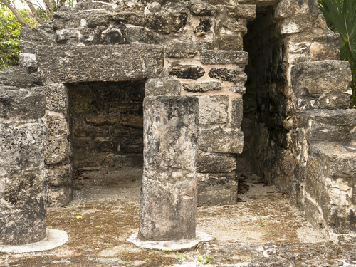 Cozumel Mayan Culture Trip Reviews