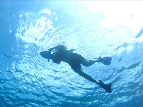 Cozumel Mexican Drinks Tour Tickets