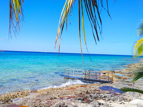 Cozumel  Mexico Chankanaab jeep Trip Cost