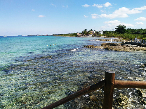 Cozumel Mexico Coral Reef Excursion Booking