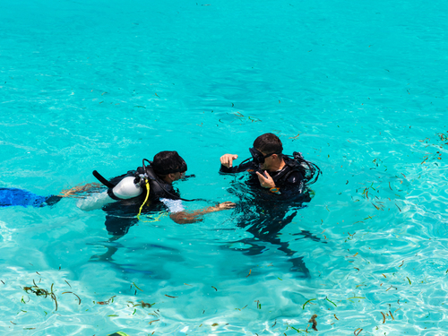 Cozumel Mexico Cozumel snorkeling Tour Booking