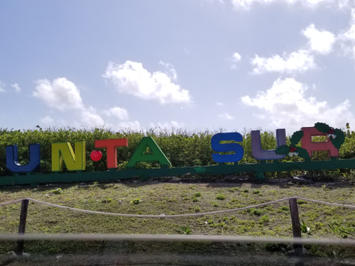 Cozumel Mexico electric bike Excursion Booking