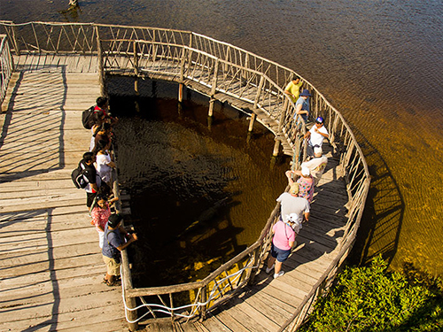 Cozumel Mexico Beach Break Cultural Cruise Excursion Cost