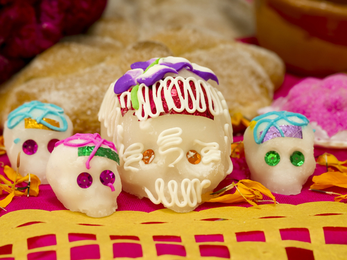 Cozumel foodie Shore Excursion Reviews