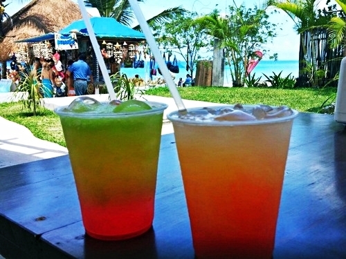 Cozumel Mexico Guided Snorkel Cruise Excursion Booking