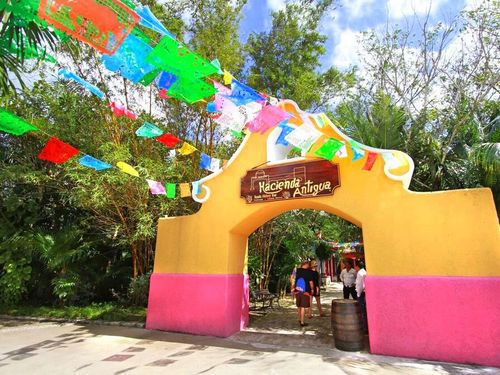 Cozumel SEATREK Chankanaab Excursion Reviews