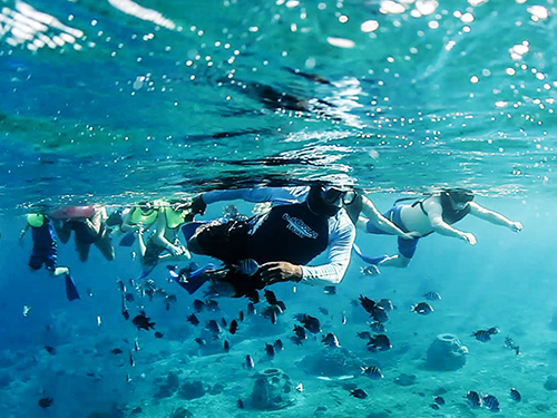 Cozumel  Mexico Villa Blanca Reef Snorkel Shore Excursion Reservations