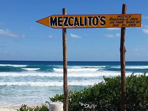 Cozumel Mexico Coconuts Bar Shore Excursion Reviews