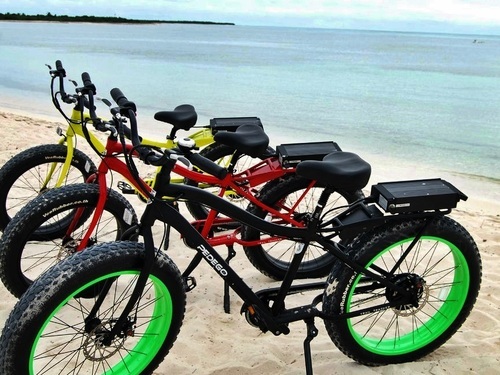 Cozumel Mexico no pedal bicycle Tour Cost