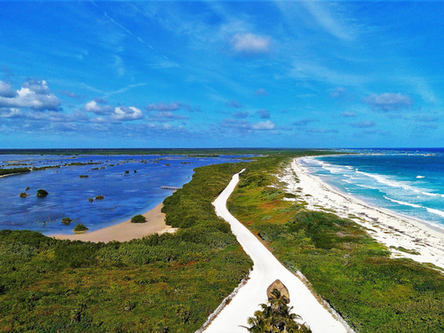 Cozumel  Mexico Punta Sur Cruise Excursion Prices