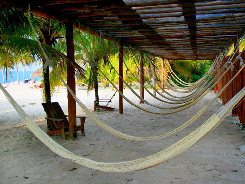 Cozumel  Mexico Sea Trek Chankanaab Excursion Reservations