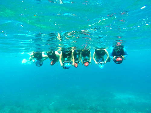 Cozumel Fajitas Lunch Shore Excursion Prices