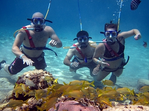 Cozumel Mexico Swimming Tour Reservations