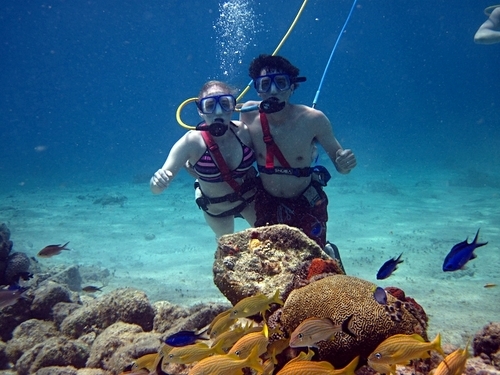 Cozumel Mexico Underwater Trip Prices