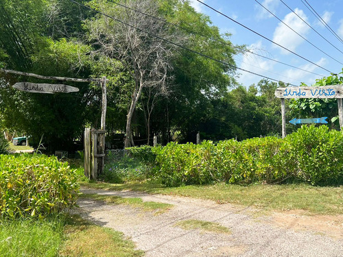 Cozumel Off-Road Adventure: Explore Caves, Mayan Ruins & Swim in a Cenote