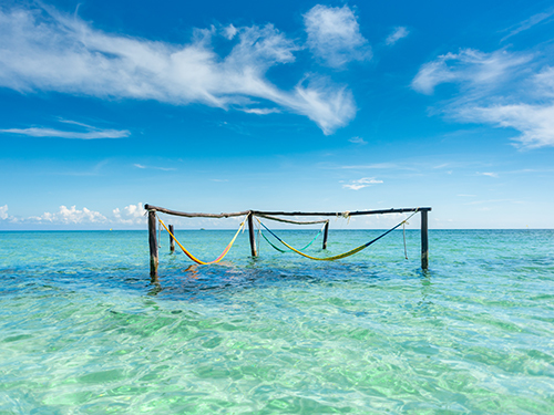 Cozumel Follow Jungle Trails Jeep Shore Excursion Tickets