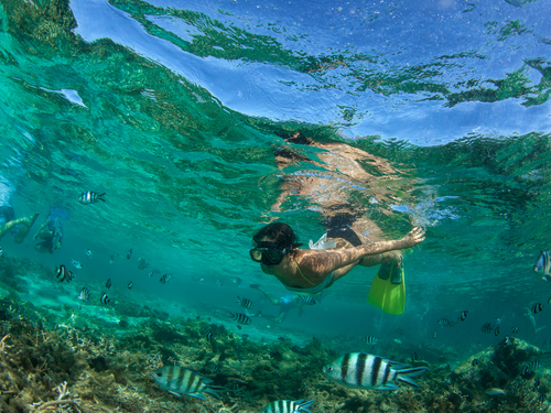 Cozumel Off Road Excursion Reviews